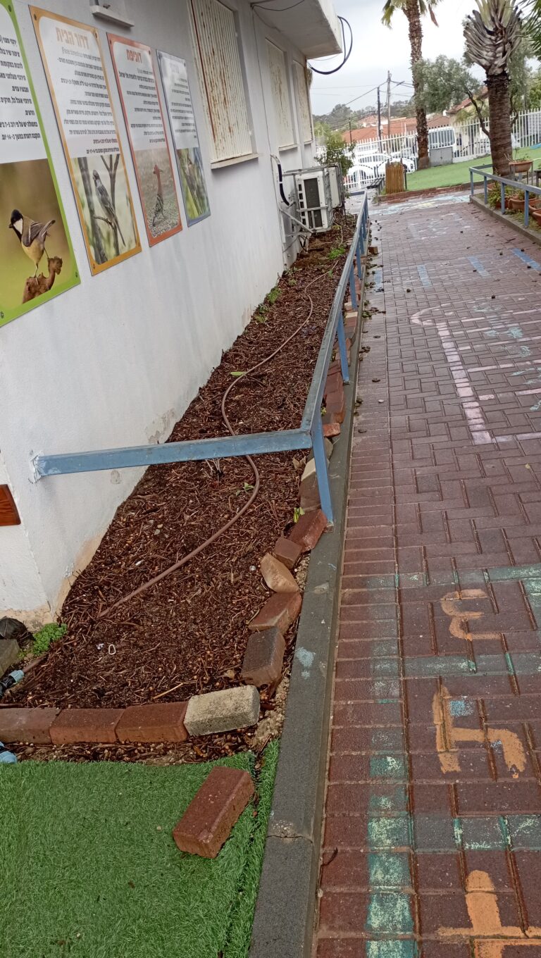 תהליך הקמת ערוגה