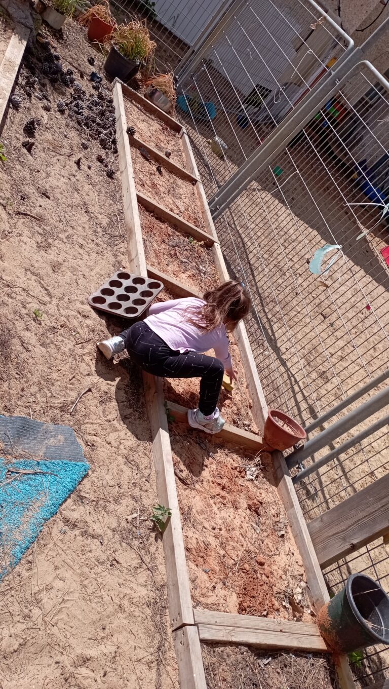 הקמת ערוגת פרמקלצ'ר בשכבות