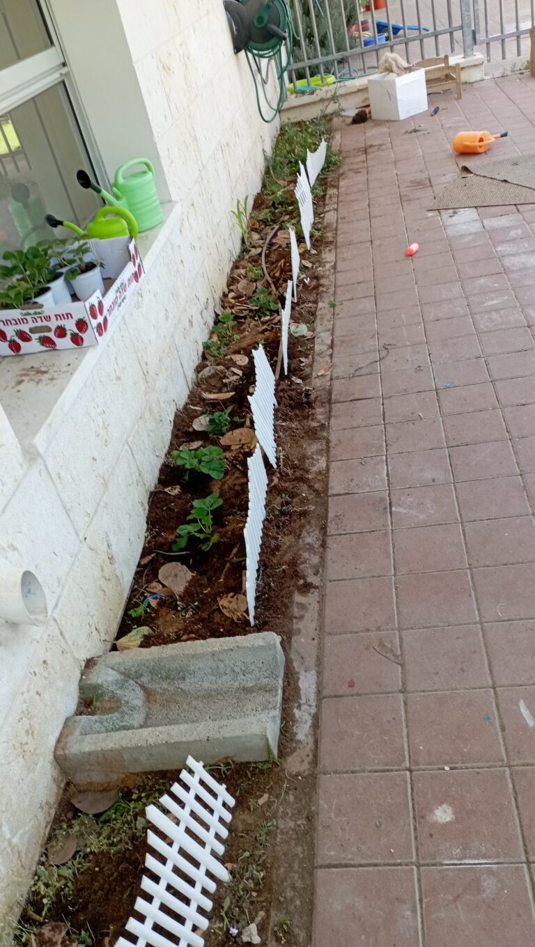 ערוגת פרמקלצ'ר בשכבות