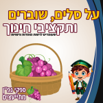 על סלים, שוברים ותקציבים במערכת גפ"ן